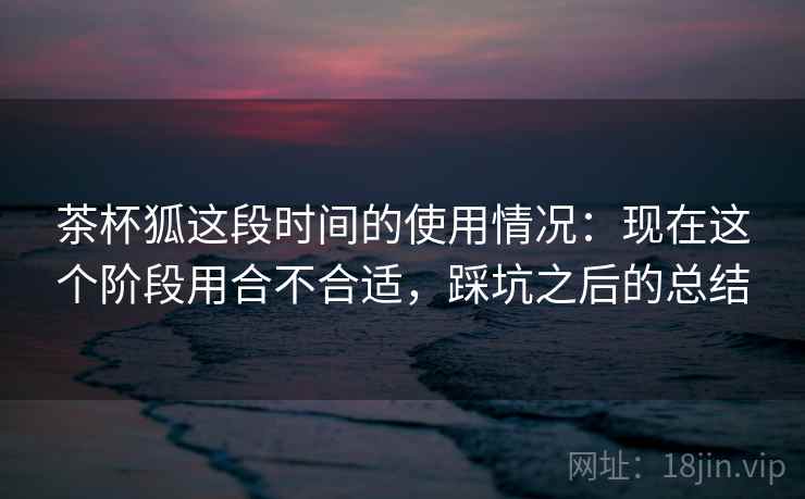 茶杯狐这段时间的使用情况:现在这个阶段用合不合适,踩坑之后的总结 茶杯狐这段时间的使用情况:现在这个阶段用合不合适,踩坑之后的总结