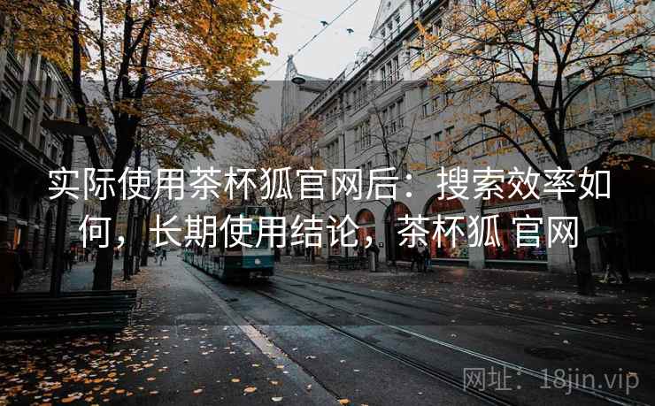 实际使用茶杯狐官网后：搜索效率如何，长期使用结论，茶杯狐 官网