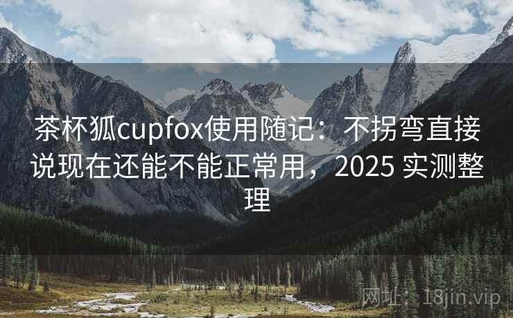 茶杯狐cupfox使用随记：不拐弯直接说现在还能不能正常用，2025 实测整理